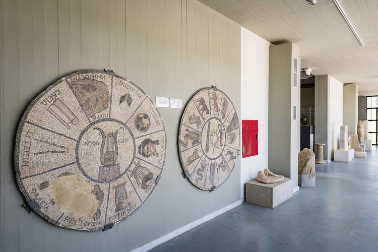 Archaeological Museum of Elis 16