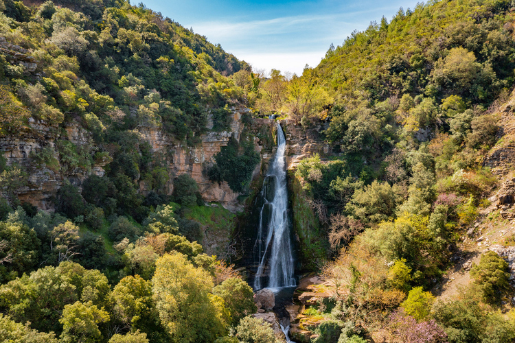 Monastery of the Dormition of the Virgin Mary in S...