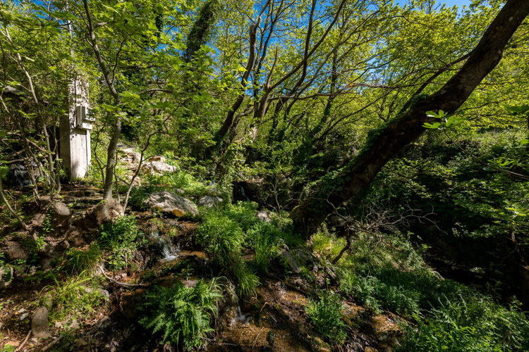Old Watermill - Papazafeiri Watermill - Oreini 20