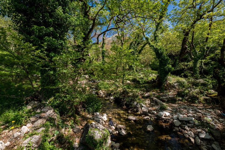 Old Watermill - Papazafeiri Watermill - Oreini 23