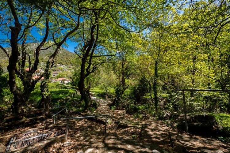Old Watermill - Papazafeiri Watermill - Oreini 14