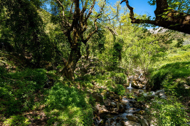 Old Watermill - Papazafeiri Watermill - Oreini 2