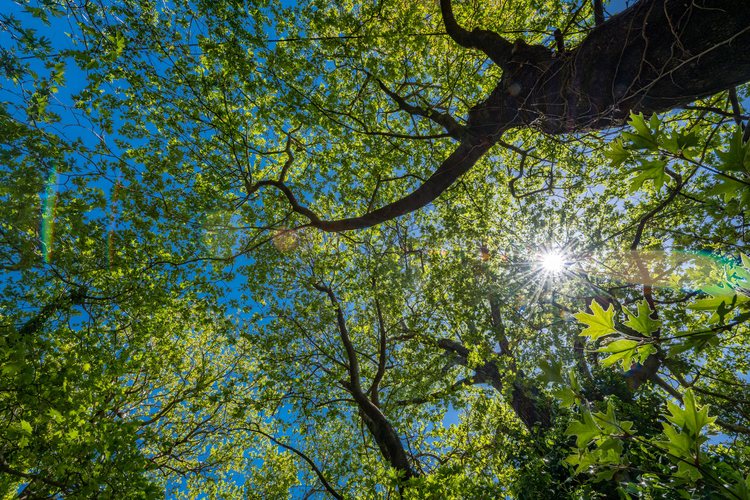 Old Watermill - Papazafeiri Watermill - Oreini 11