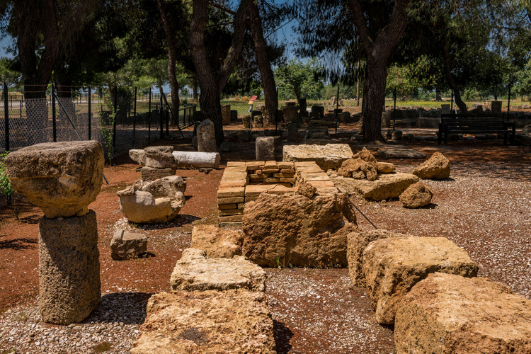 Archaeological Site of Elis 16