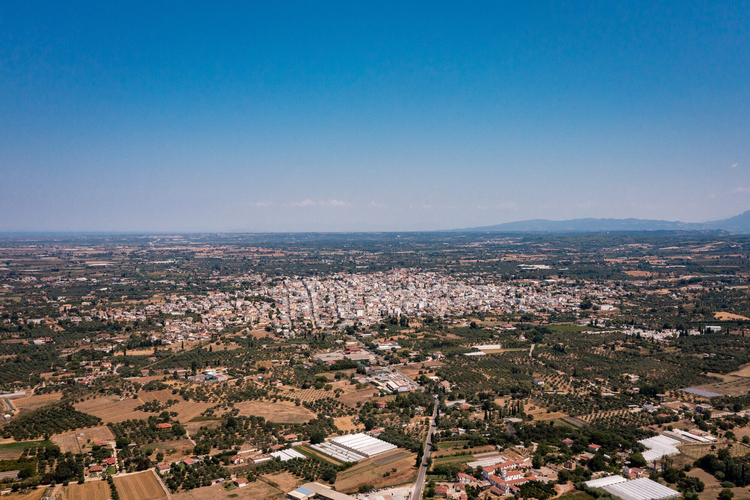 Πομπική Οδός 44