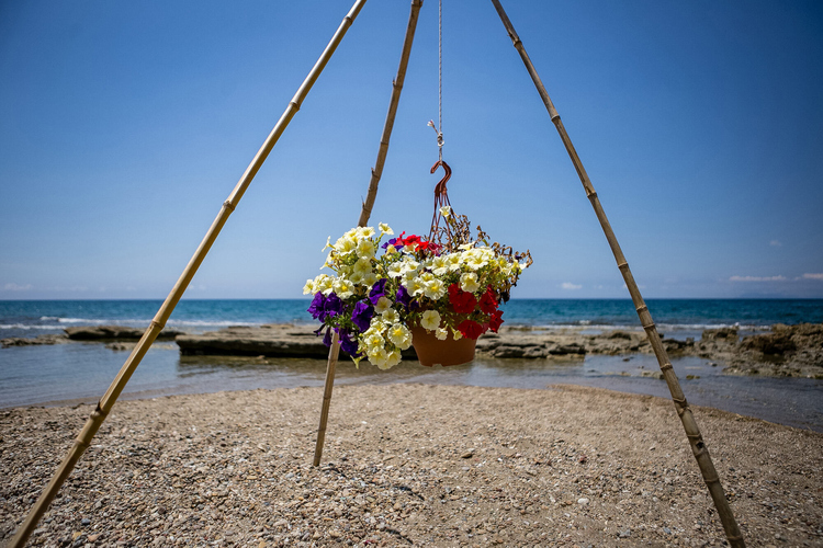Beach of Agios Andreas - Flowers