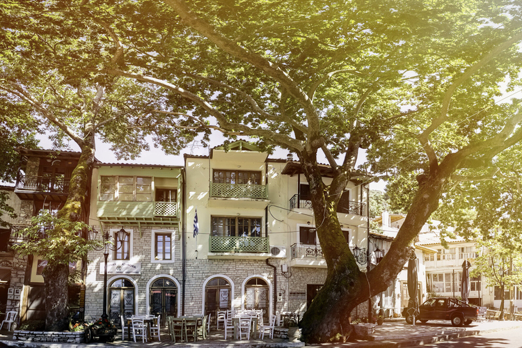 Andritsena Settlement - Plane tree