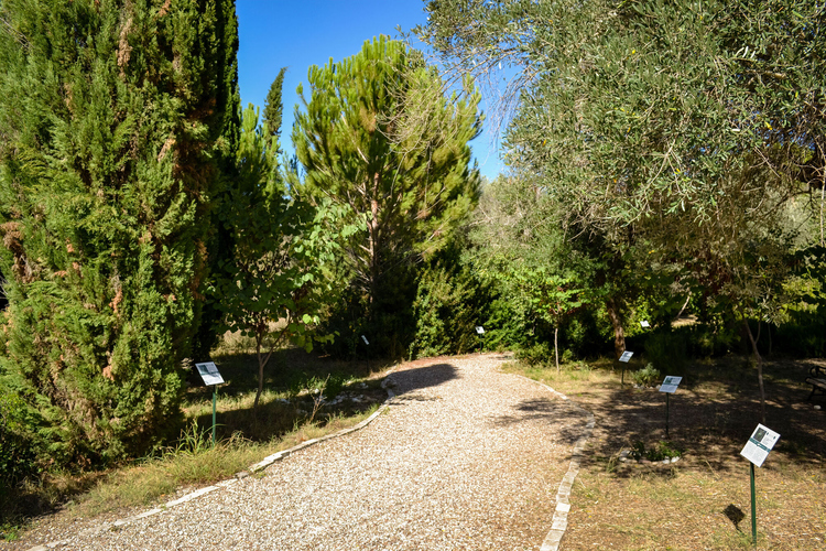 Ολυμπιακός Βοτανικός Κήπος