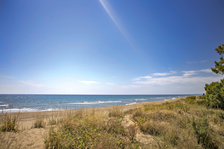 Kaiafas Beach 14