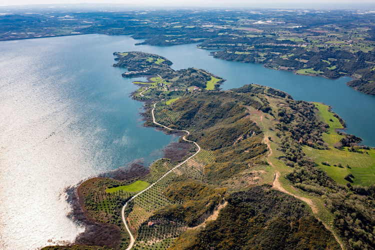 Artificial Lake of Pinios 