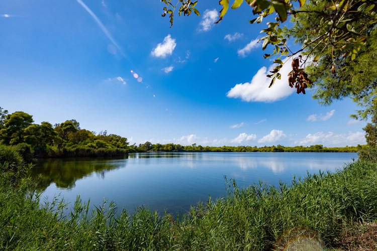 Kaiafa Lake - Thermal Baths 29