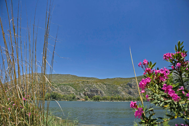 Kaiafa Lake - Thermal Baths 8