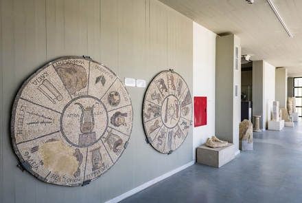 Archaeological Museum of Elis 16