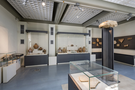 Archaeological Museum of Elis 17