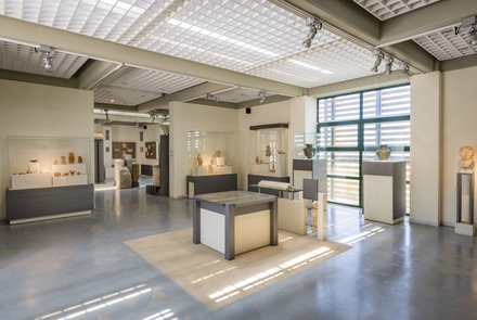 Archaeological Museum of Elis 8