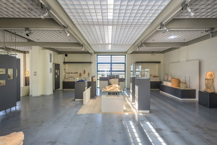 Archaeological Museum of Elis 4