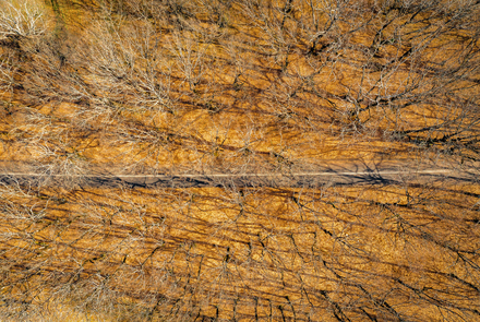 Oak Forest of Foloi 20