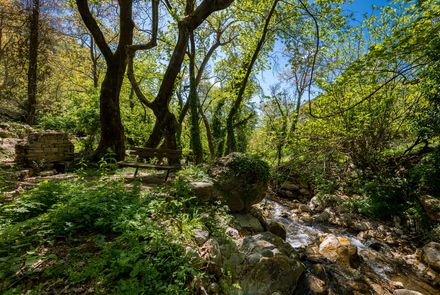 Old Watermill - Papazafeiri Watermill - Oreini 4