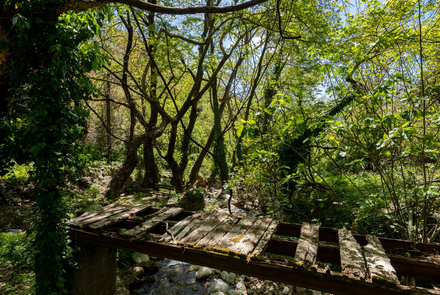 Old Watermill - Papazafeiri Watermill - Oreini 9