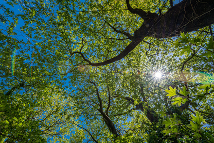 Old Watermill - Papazafeiri Watermill - Oreini 11
