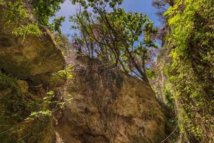 Nemouta Waterfalls 9
