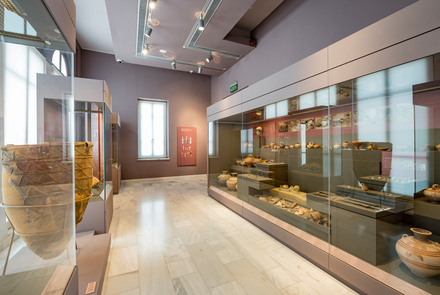 Archaeological Museum of Pyrgos 14