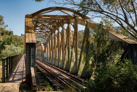 Alfeios River Railway Bridge 15