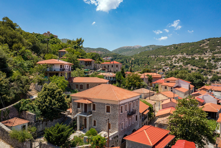 Μουσείο Ανδρίτσαινας 37