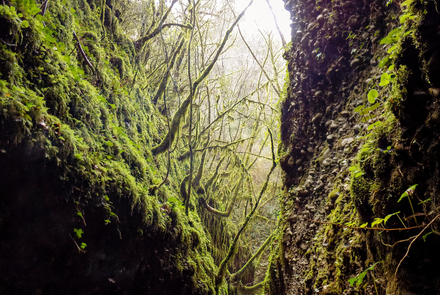 Canyon of Kentavron 1