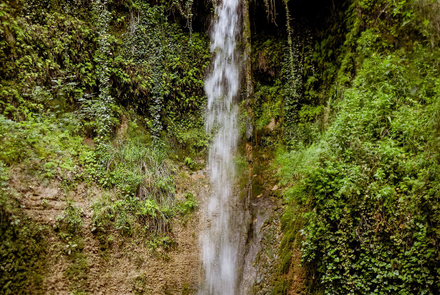 Nemouta Waterfalls 13