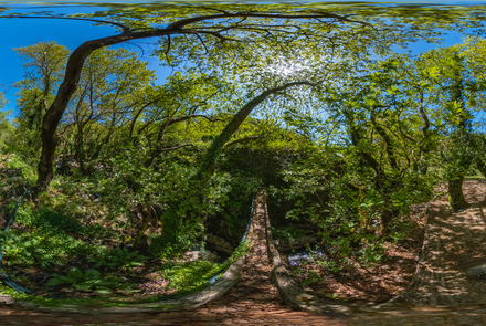 Old Watermill